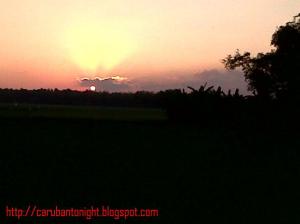 Rengel-20130723-00030