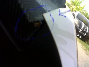 serangga nyangkut di gold