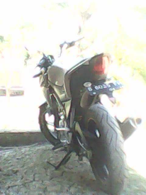 si gold nvl buntut wereng