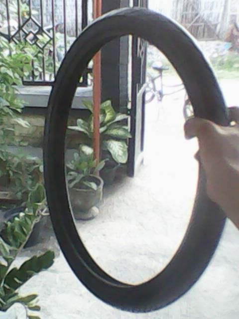 detailed of cacing ban