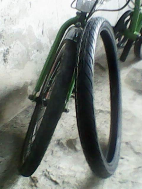 ban cacing : ban polyghon