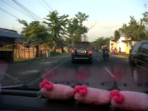 Kapas-20130730-00044