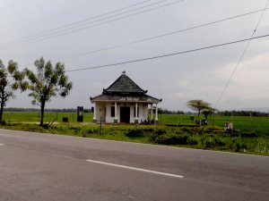 224360_219523004725960_3384236_n