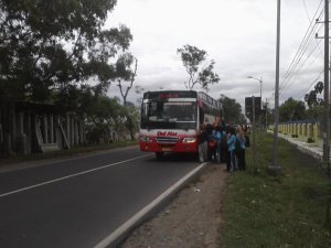 225386_219521248059469_5566786_n