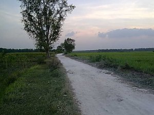 226616_219523551392572_2441813_n