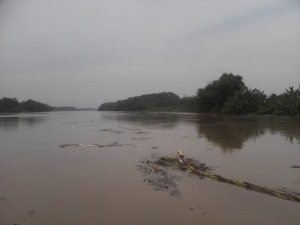 227095_219521318059462_2225159_n