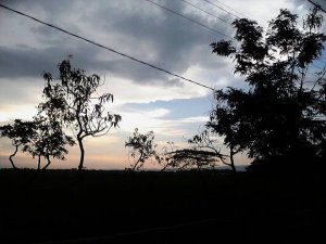 228397_219521544726106_7697438_n