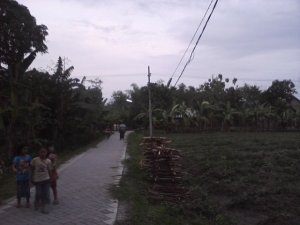 230533_219521728059421_3264598_n