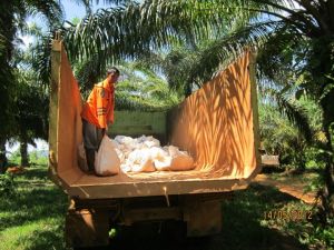 312091_482122511799340_407618510_n