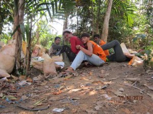 319434_482123675132557_156934726_n