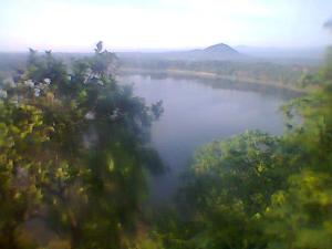 486768_536471029697821_1851577210_n