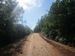 538253_445749795436612_818455781_n