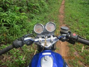 538915_445773708767554_1939428491_n