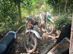 546233_445777022100556_644667763_n