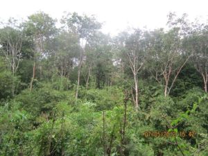 547411_445772845434307_869589907_n