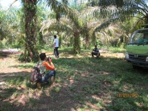 580066_482122168466041_568568888_n