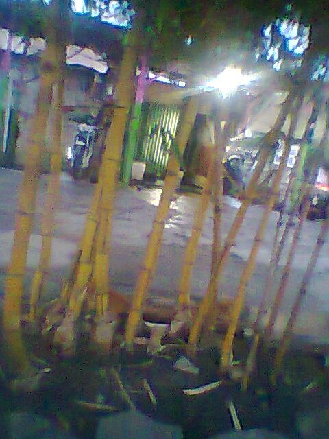 23965_524305900914334_1124838689_n