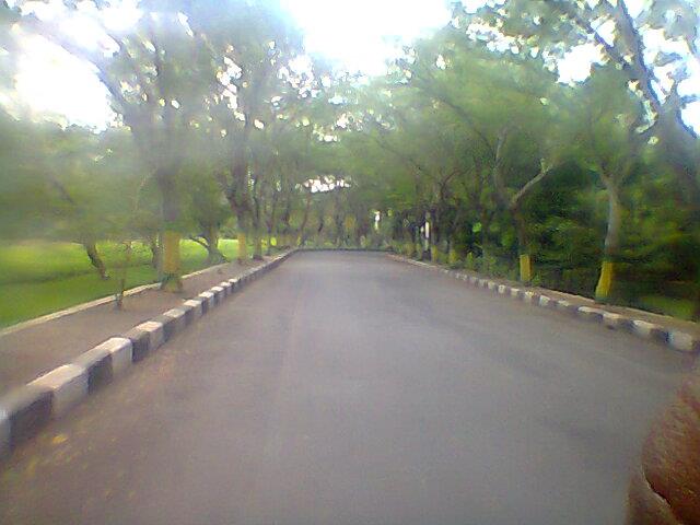 481457_533558326655758_1039924851_n