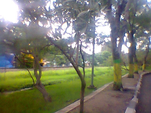 521423_533558406655750_178729833_n