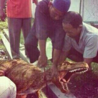 dipikir karo nyembelih Dinosaurus