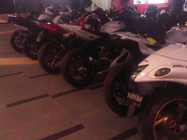 adu buntut para moge