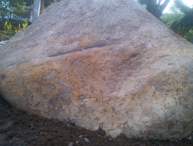 Bojonegoro-20150109-00104