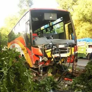 11009855_1050357594991460_4123861954675879585_n.jpg image