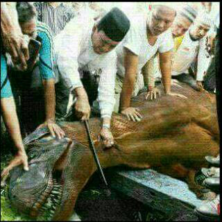 IMG_20150923_191516.jpg image