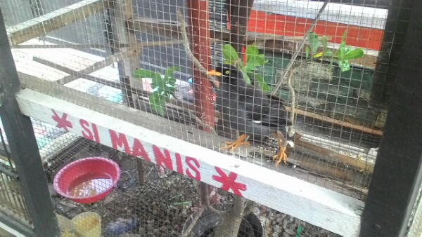 P_20150911_072149.jpg image