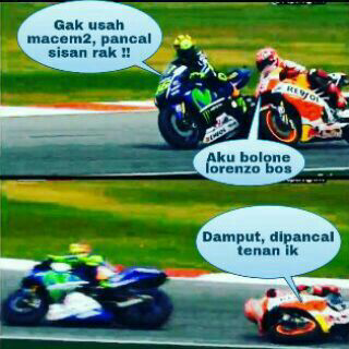 IMG_20151025_161943.jpg image