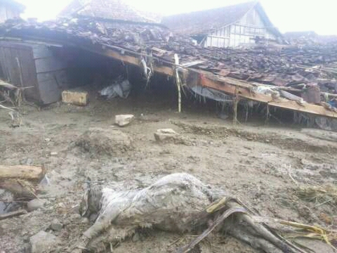 FB_IMG_14515816809405746.jpg image