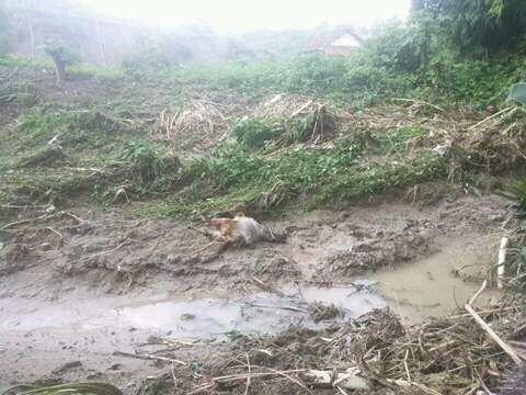 FB_IMG_14515816848748150.jpg image