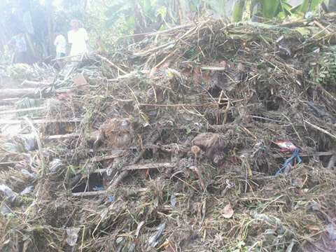 FB_IMG_14515816886785593.jpg image