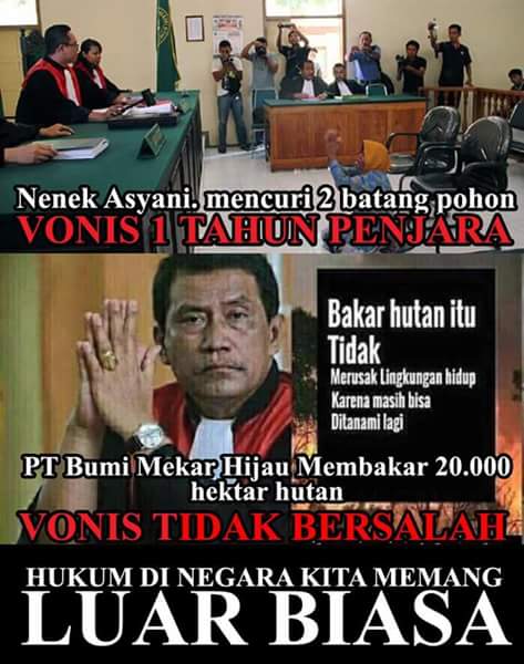 FB_IMG_1452065463642.jpg image