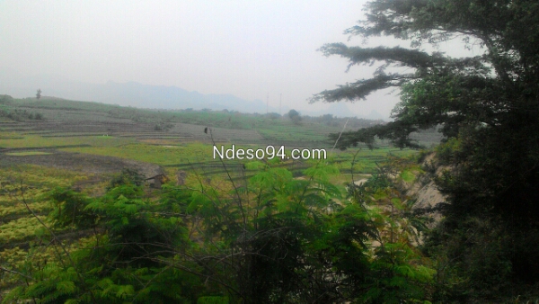 P_20160105_133347.jpg image