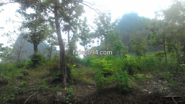 P_20160105_135906.jpg image