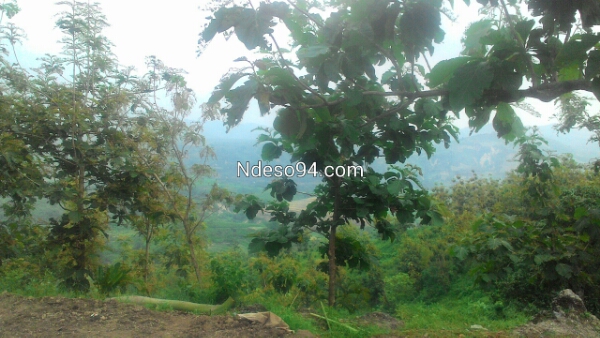 P_20160105_143708.jpg image