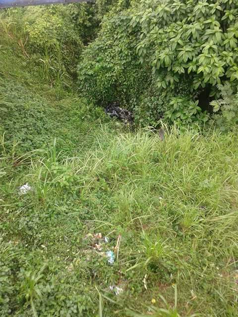 FB_IMG_1454742631538.jpg image