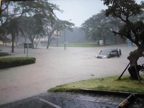 FB_IMG_1456319205810.jpg image