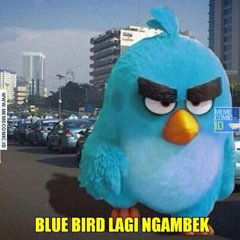 FB_IMG_1458640256259.jpg image