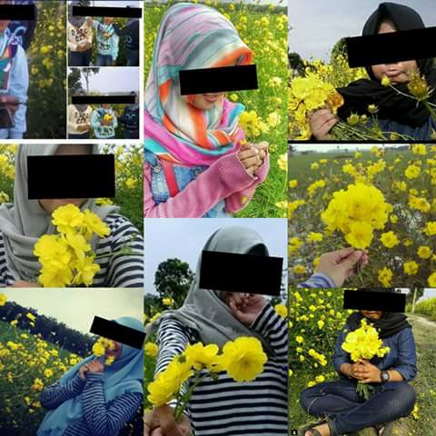 FB_IMG_1459847371307.jpg image