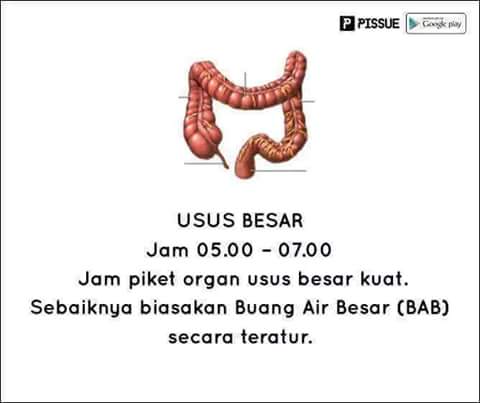 FB_IMG_1468046267799