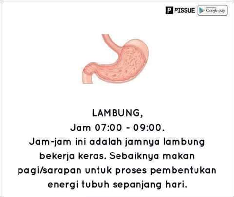 FB_IMG_1468046271139