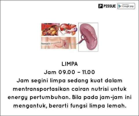 FB_IMG_1468046275516