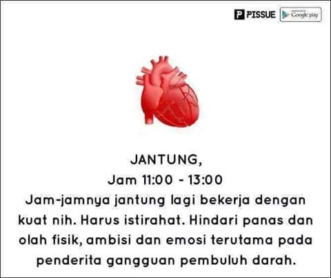 FB_IMG_1468046282071