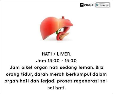 FB_IMG_1468046295273