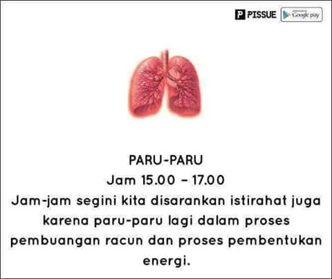 FB_IMG_1468046304737