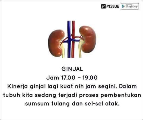 FB_IMG_1468046310860