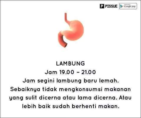 FB_IMG_1468046316395