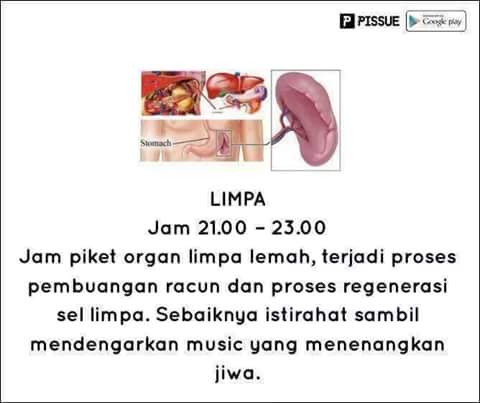 FB_IMG_1468046324254